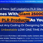 PLR Sites Review 1