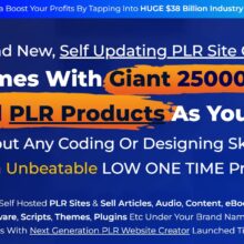 PLR Sites Review 1